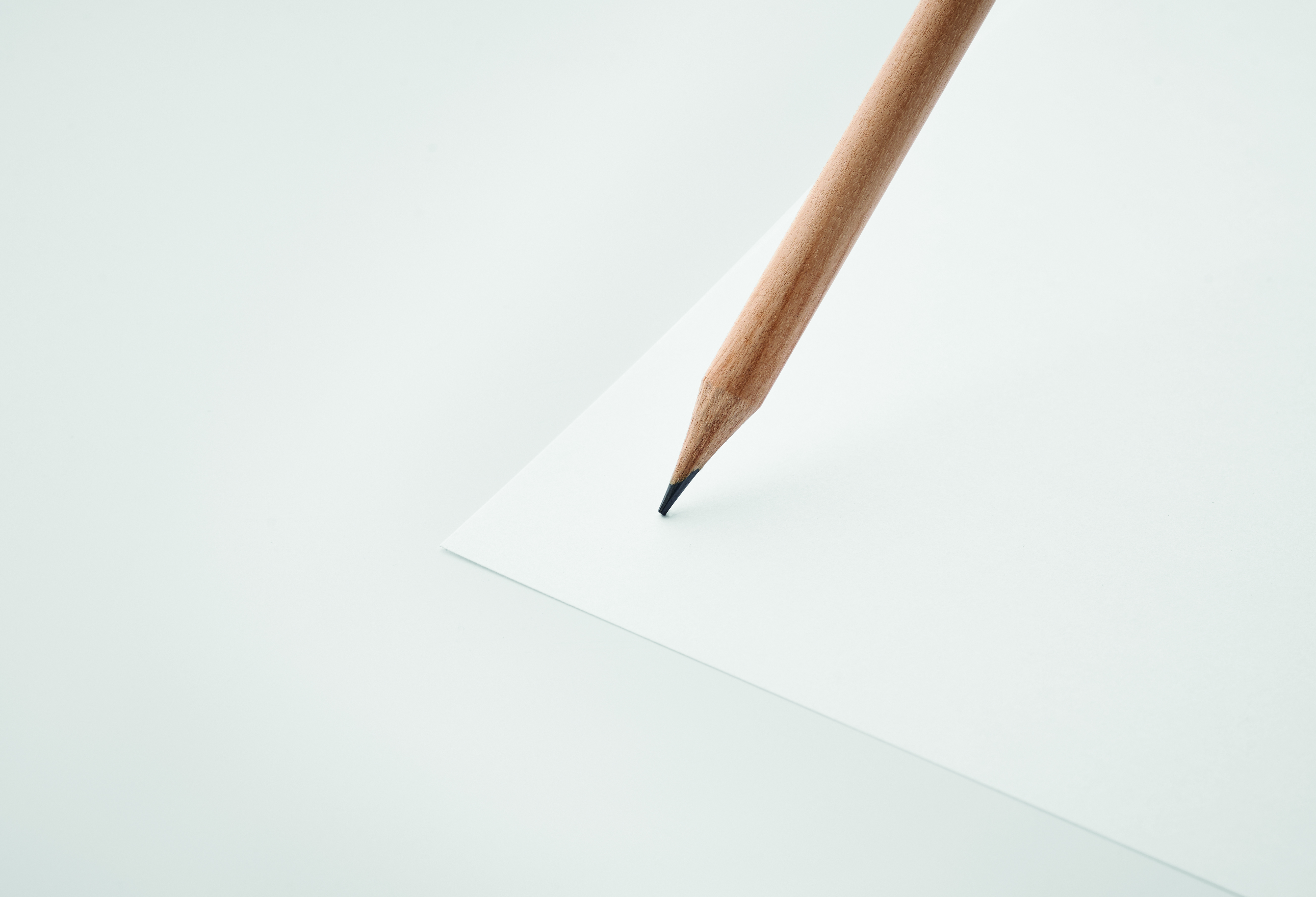 Bleistift PENSEED mit Radiergummi & Samenpapier-Hülle, bedruckbar